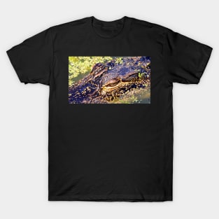 Florida Alligator T-Shirt